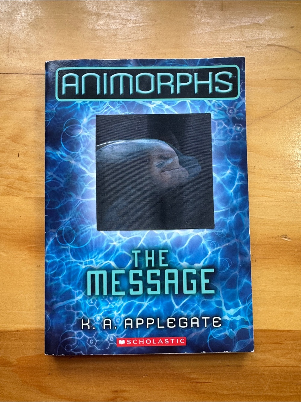 🌈2/$8 The Message #4 in the Animorphs Series